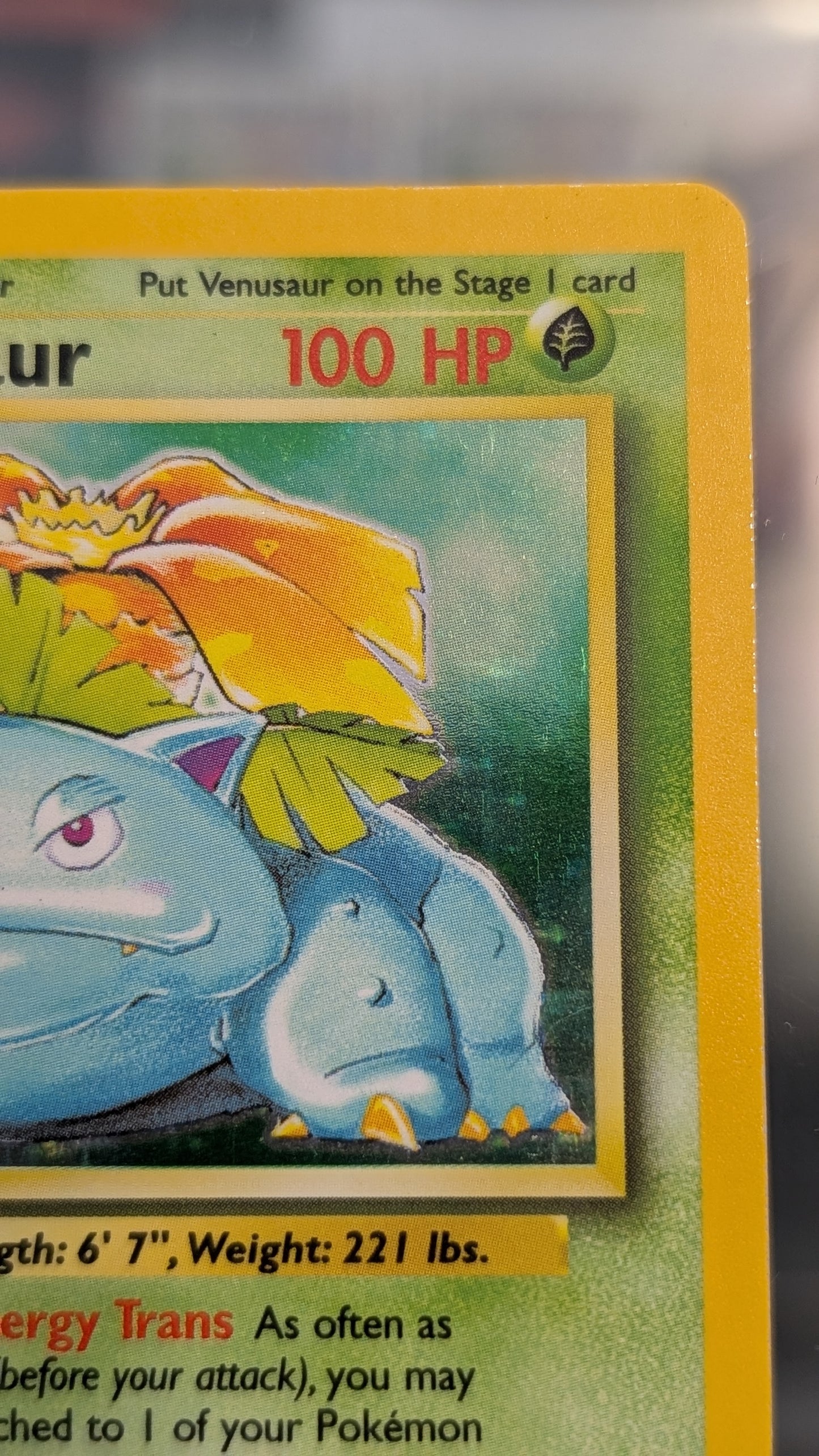 Pokemon TCG 1999 Base Set Unlimited Venusaur Holo Rare 15/102