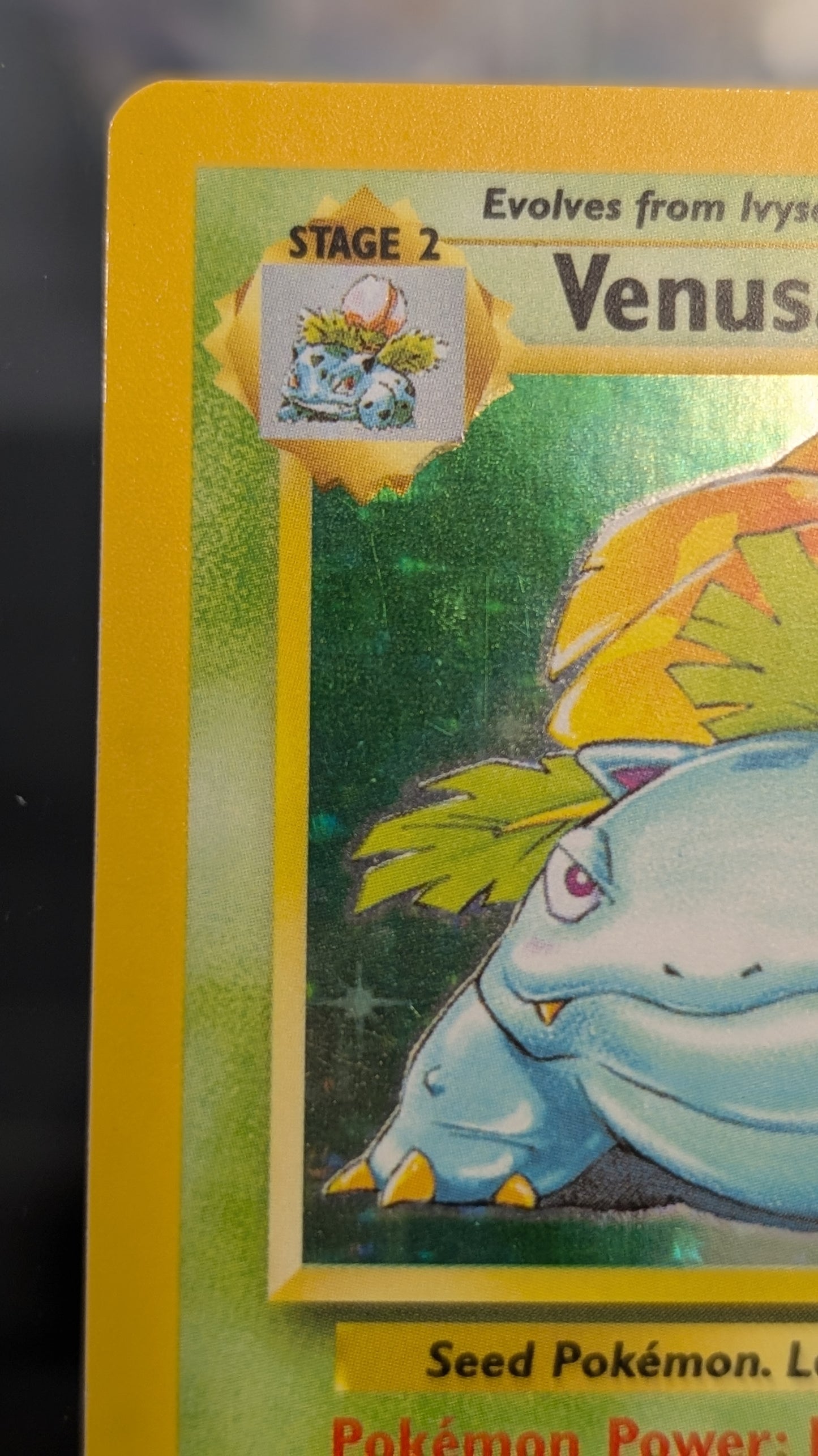 Pokemon TCG 1999 Base Set Unlimited Venusaur Holo Rare 15/102